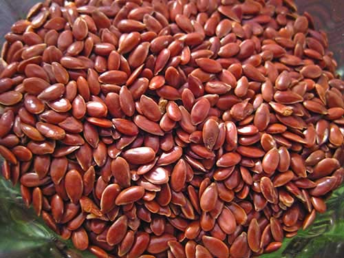 Buy Flax Seeds 3 KG ???? ?? ??? Alsi FLAXSEEDS Roasted and get 1 kg Free RS.850 (45.00% Off) - Amazon Buy Flax Seeds 3 KG ???? ?? ??? Alsi FLAXSEEDS Roasted and get 1 kg Free RS.850 (45.00% Off) - Amazon