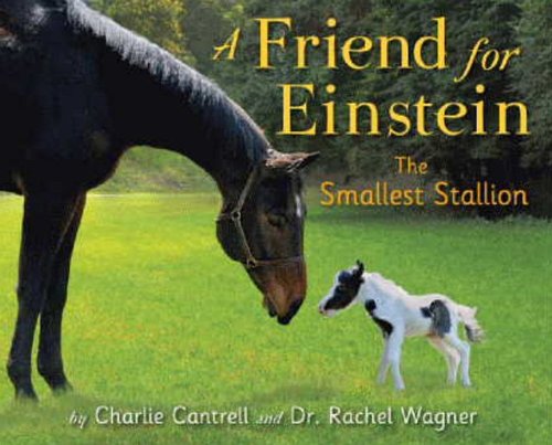 Descargar Friend for Einstein Libro