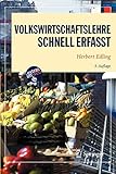 Image de Volkswirtschaftslehre - Schnell erfasst (Wirtschaft - Schnell erfasst)