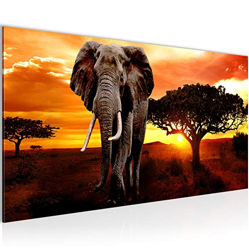 Bilder Afrika Elefant Wandbild Vlies - Leinwand Bild XXL Format Wandbilder Wohnzimmer Wohnung Deko Kunstdrucke Orang Grau 1 Teilig -100% MADE IN GERMANY - Fertig zum Aufhängen 001212a
