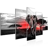 UMWELTBEWUSST: ökologisches Druckverfahren, geeignet für Kinder- und Schlafzimmer