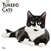 Produktbild Tuxedo Cats - Tuxedo-Katzen 2019 - 18-Monatskalender (Wall-Kalender)