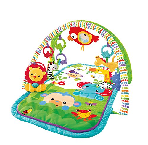 Fisher-Price 3-in-1 Musical Activity Gym