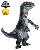 Costume produced by Rubies, family-owned, family-focused, and based in the U.S.A. Since 1950, Rubie's has classic and licensed costumes and accessories in sizes and styles for your entire family.