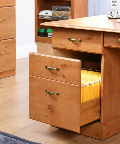 Teknik Office French Gardens Pine Study Desk