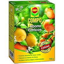Amazon.es: COMPO