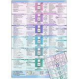 Schüßler-Salze Nr.1 bis 12 - Auf einen Blick (2020): Schnell orientieren, leicht verstehen und selbst anwenden (DINA4, hochwe