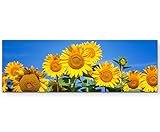 Mit Fine Art Prints von Paul Sinus Art bietet sich eine einfache und wunderbare Möglichkeit Ihre Wohnräume zu gestalten. Verschönern Sie Ihr Wohnzimmer, Schlafzimmer, Kinderzimmer, Küche, Flur, Arbeitszimmer oder Büro und gestalten sie sich Ihr persönliches Wohlfühlambiente.