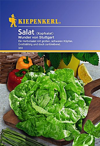 Sperli Gemüsesamen Kopfsalat Wunder Stuttgart, grün