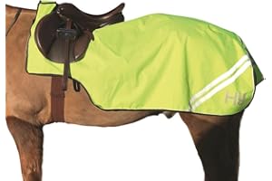 HyVIZ Reflector Exercise Sheet