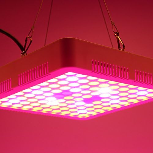 Glighone 300W LED Grow Light Full Spectrum Mini Square Grow Lamp for Indoor Hydroponic Greenhouse Leafy Vegetable Flower Growth