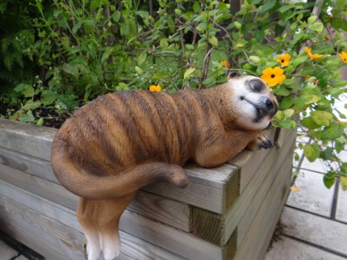 Freches Erdmännchen Kantenlieger Figur Gartenfigur TOP Tierfigur NEU