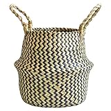 √ Schön und praktisch, frisch und wild, an jedem Ort, den Sie mögen