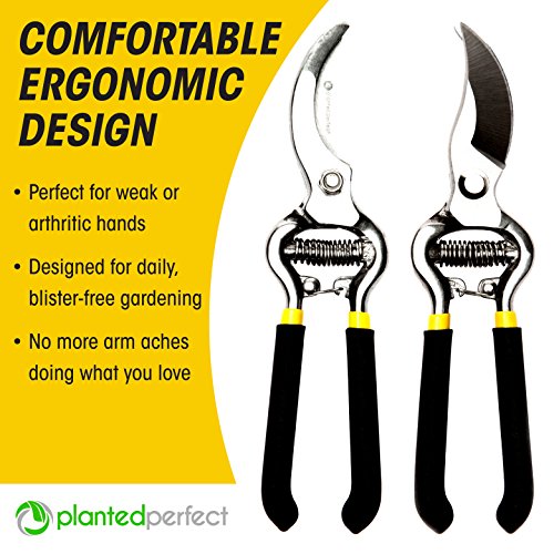 PROFI ASTSCHERE – 20 cm Länge, aus Schmiedestahl | Ergonomischer Griff | Gartenschere stark genug dickere Äste an Bäumen, Rosen, Sträucher usw. zuzuschneiden, vielseitige Grünschere für drinnen und draußen - 2