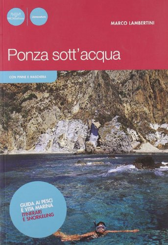 Ponza sott'acqua. Guida ai pesci e altra vita marina. Itinerari snorkeling. Ediz. illustrata libro