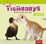Tierbabys 2014: Wandkalender by