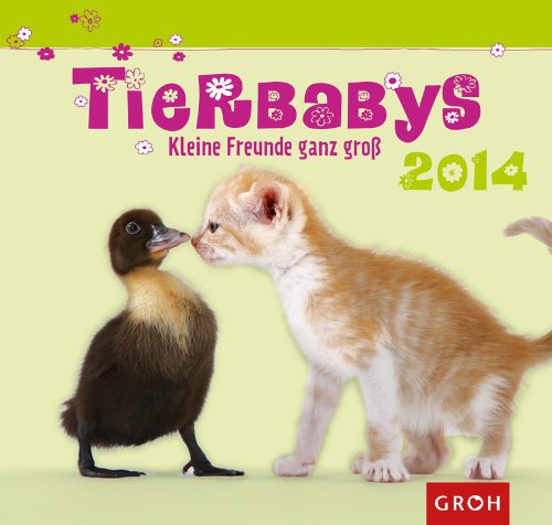 Tierbabys 2014: Wandkalender