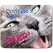 Produktbild Montague'Schreibtisch-Cute Kitten "Dinosaurier", Wunschname Premium Mauspad - 5 mm Dicke)