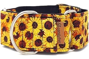 candyPet - Martingale Dog Collar, SPECIAL WIDTH, SUNFLOWERS