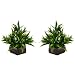Thefancymart Artificial Bamboo leaves plant (size 7.5 inchs/ 20 cms) with wood Hexagun pot ( set of 2 pots)-S20235-889 RS.675.00