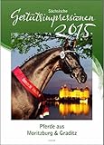 Sächsische Gestütsimpressionen 2015: Pferde aus Moritzburg & Graditz by 