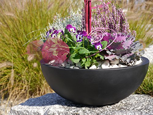 Pflanzschale NOVA aus Fiberglas in schwarz-anthrazit, Blumenschale, Pflanzgefäße, Dekoschale, Pflanzkübel (Ø34 x H12cm)