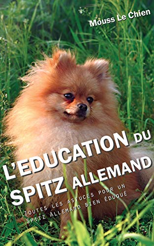 Leducation Du Spitz Allemand Toutes Les Astuces Pour Un Spitz Allemand Bien éduqué