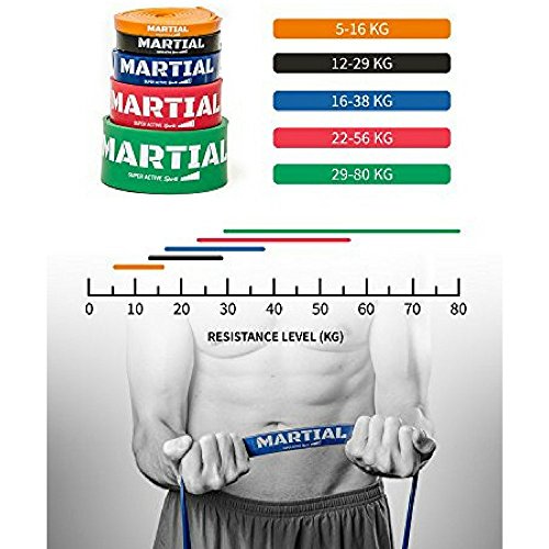 Resistance Band – perfekte Fitnessbänder & Rubber Band für effektives Training – Widerstandsbänder & PowerBand für den ganzen Körper – Expander & Bodytrainer für dein Workout - 4