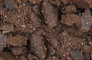 Creative Farmer Neem Cake -Increasing Fruits Fruit Plant Fertilizers (500 Gram)