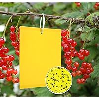 Y.A. LOTUS 20 Gelbfalle Klebrige Insektenfallen, Effizient KirschmadenFalle Gelbtafeln, Doppelseitige Fliegenfänger…