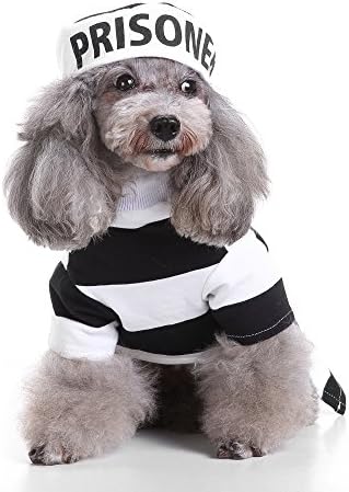Uni Best Halloween Cosplay Coat Costume Outwear Apparel Hoodies Charistmas Polices Prisoner Spider Skull