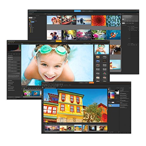 Corel PaintShop Pro X9 Ultimate ML - Software De Edici  n De Gr  ficos Y Im  genes