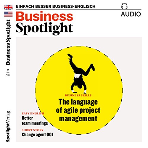 Die Besten Hörbücher Projektmanagement Dieprojektmanager - 