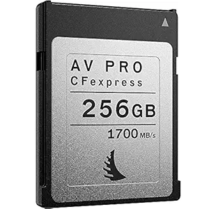 AV PRO CFexpress Type B Card | 256 GB