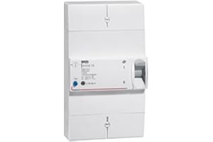 Legrand 401013 Enedis Branchement Disjoncteur, Tétrapolaire Différentiel, 500mA, Sélectif, 60A