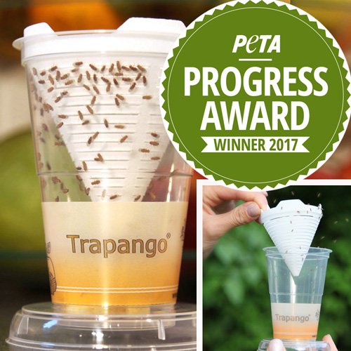 Fruchtfliegen-Lebendfalle Trapango® - 2