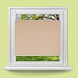 KEIN BOHREN: Das Klemmfix System ermöglicht eine absolut unkomplizierte Montage ohne Bohren und Kleben. Montiert kann das Plisseerollo an senkrechten Dreh-/Kippfenstern, für Dachfenster ist es jedoch nicht geeignet