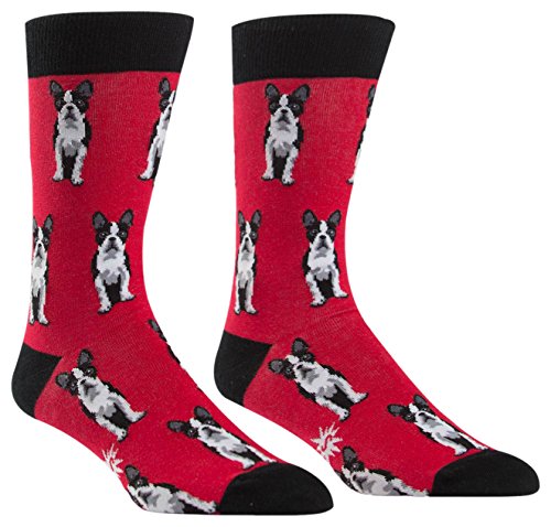 Preisvergleich Produktbild Sock It To Me Herren Crew Socken - Boston Terrier