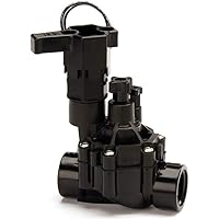 Rainbird Magnet Ventil 100-DV 1" IG, NN210