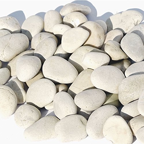 MGS SHOP Flachkies MEDITERRAN Flat-Stone Flacher Kies sehr angenehm begehbar 20 kg (cremeweiß, 2-3cm)