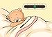 A5 Sleeping Teddy Nursery and Baby Room Thermometer