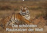 Die schönsten Raubkatzen der Welt (Wandkalender 2015 DIN A2 quer): Bilder von den schönsten Raubkatzen, dem Gepard, dem Leopard, dem Löwe und dem Tiger. (Monatskalender, 14 Seiten) (CALVENDO Tiere) by 