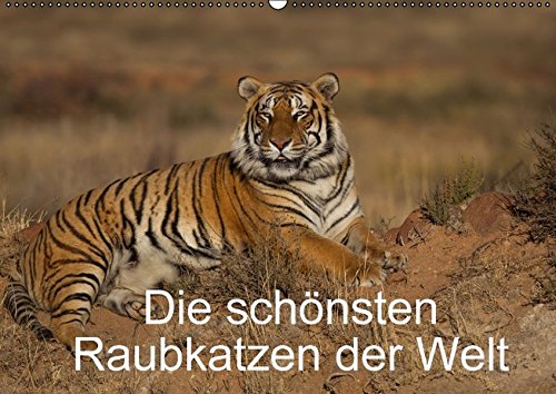 Die schönsten Raubkatzen der Welt (Wandkalender 2015 DIN A2 quer): Bilder von den schönsten Raubkatzen, dem Gepard, dem Leopard, dem Löwe und dem Tiger. (Monatskalender, 14 Seiten) (CALVENDO Tiere)