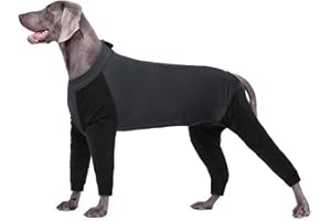 PUMYPOREITY Traje de Recuperación Perro, Pijama Perro Grande Onesie Cirugía Perros Pijama Mono de Cobertura Completa para Perro Body 4 Piernas Postoperatorio para Perros Machos Hembras(Negro, 2XL)