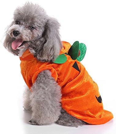 Uni Best Halloween Cosplay Coat Costume Outwear Apparel Hoodies Charistmas Polices Prisoner Spider Skull