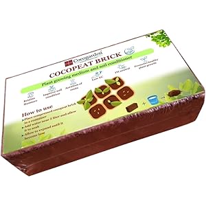 Cocogarden Cocopeat Block for Plants (600-650 gm) - Organic Coco Peat Brick, Expands up to 10 ltrs by Volume, Natural Garden Soil for Terrace Gardening, Hydroponics, Indoor and Outdoor Plants