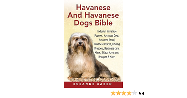 havanese housebreaking
