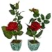 Thefancymart Set Of 2 Piece Artifical Rose Plants With Marble finish PVC pot RS.395.00