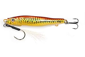 Tolure Jig de Pesca 60g 80g 4 Colores Trolling Casting Cuerpo Impreso en 3D Jig de Pesca en Forma de S Señuelos de Pesca de Agua Salada para Platija Salmón Brema Bajo Trucha 1 Unidad/Paquete