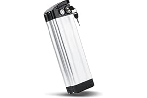 GENERIC ZHIKAN E-Bike Pedelec Batteria Silverfish 36V 15.6Ah 577Wh, Adatta per Motori 36V 250W/350W/500W, per MiFa Rex Prophete Aldi Bike, Compatibile con Phylion/XH370-10J, Zhenlong/ZL1010-F